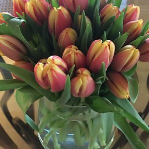 Meet your Posher, Laurie